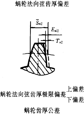 平面二次包絡環面蝸杆傳動精度蝸杆、蝸輪誤差的定義及代号